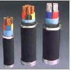 交聯聚乙烯絕緣電力電纜