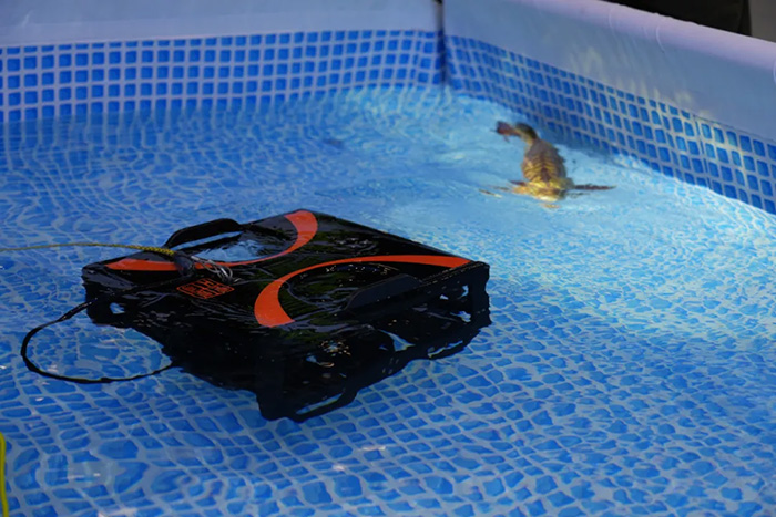 往屆現場展示 往屆現場展示